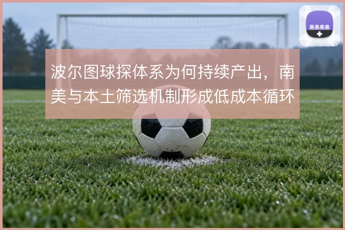 波尔图球探体系为何持续产出，南美与本土筛选机制形成低成本循环