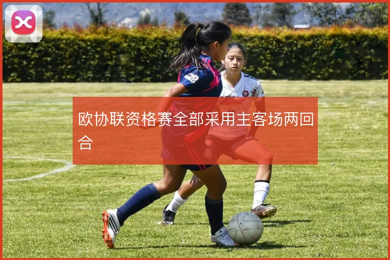 欧协联资格赛全部采用主客场两回合